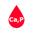 amount of Ca and P in blood